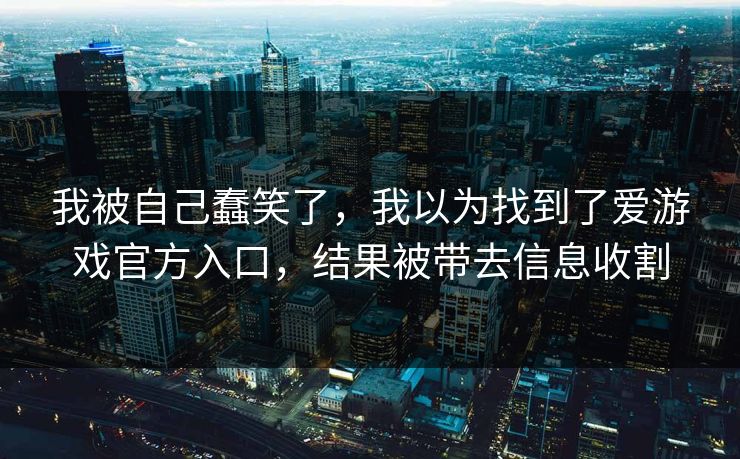 我被自己蠢笑了，我以为找到了爱游戏官方入口，结果被带去信息收割