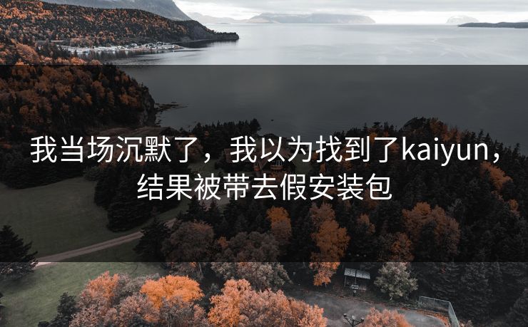 我当场沉默了，我以为找到了kaiyun，结果被带去假安装包