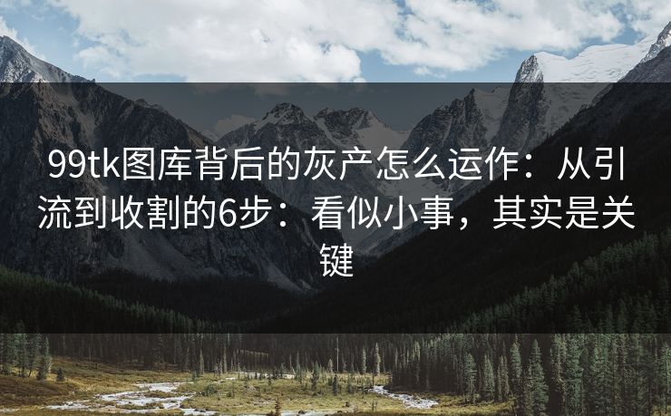 99tk图库背后的灰产怎么运作：从引流到收割的6步：看似小事，其实是关键