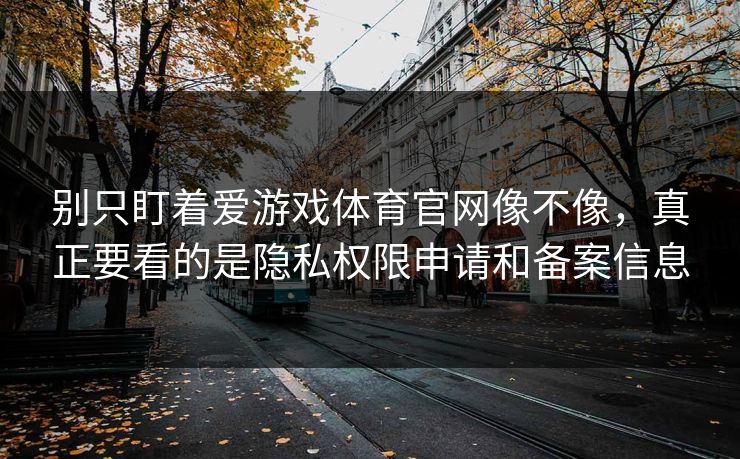 别只盯着爱游戏体育官网像不像，真正要看的是隐私权限申请和备案信息